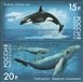 № 1556-1557. Series «Fauna of Russia. Whales