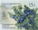 № 1682-1685. Flora of Russia. Cones of coniferous trees and shrubs.