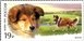 № 2101-2102. Fauna of Russia. Service dog breeds