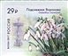 № 2208-2211. Flora of Russia. The 125th Foundation Anniversary of the Sochi Arboretum