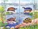 № 2212-2215. Russian Fauna series. Turtles